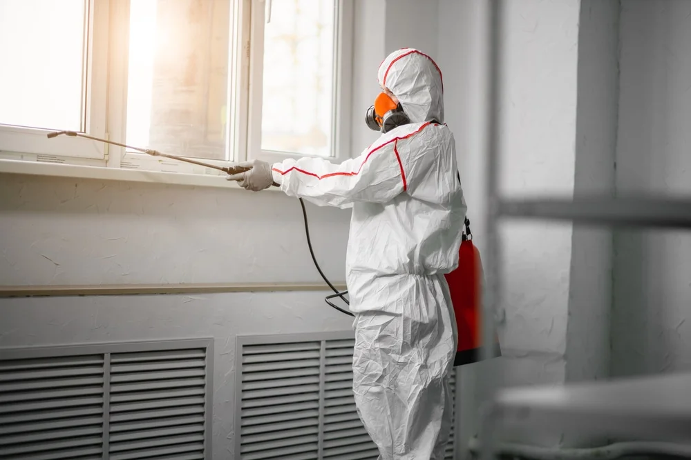 Professional mold remediation services in Mount Freedom, NJ